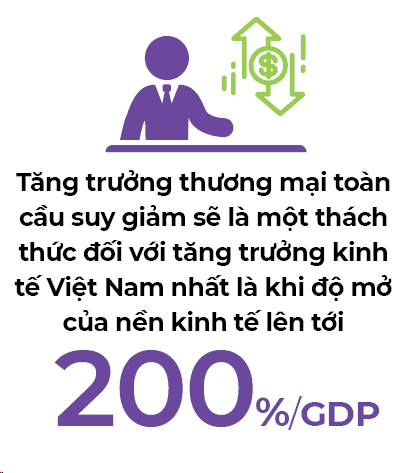 tang-truong-kinh-te-viet-nam-2019-se-ra-sao-khi-tang-truong-quy-I-giam-2.png