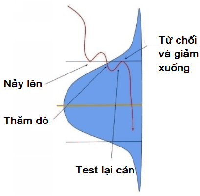 luot-song-bang-volume-profile-phan-3-phan-doan-huong-di-khi-gia-tham-nhap-volume-profile-4.png