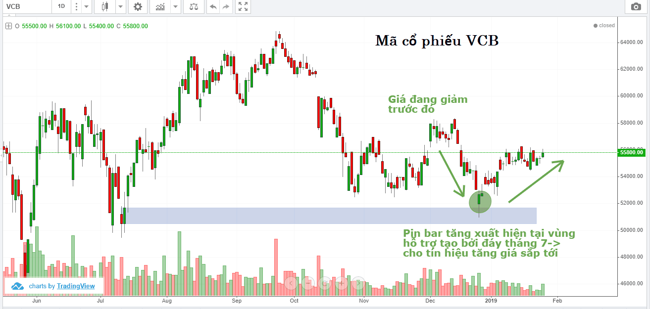 price-action-va-chien-luoc-pinbar-kakata-4.png