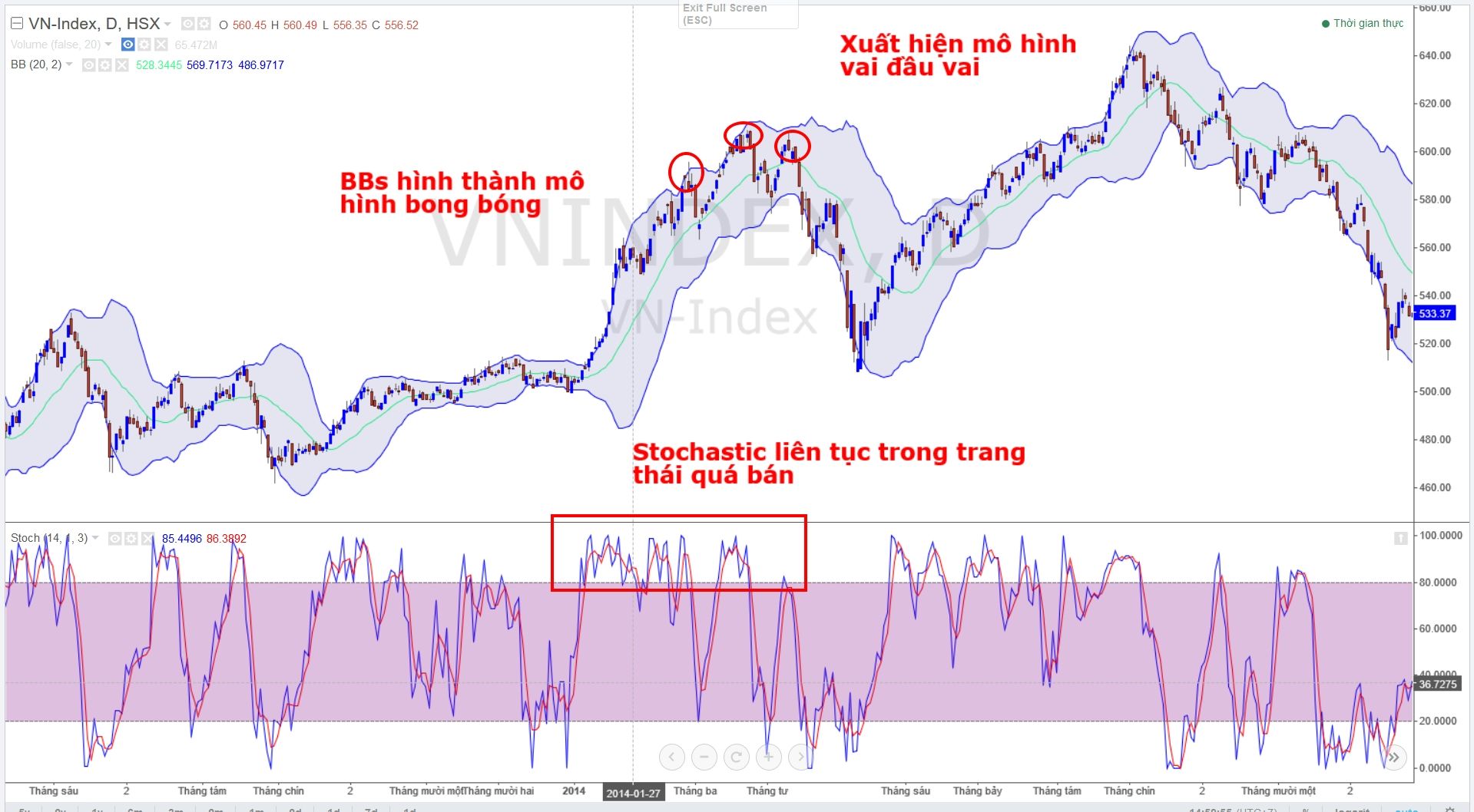 doc-tam-ly-bay-dan-bang-mo-hinh-boom-and-bust 3.jpg